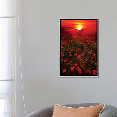 « chaleureux coucher de soleil » par marco carmassi-reproduction de photo