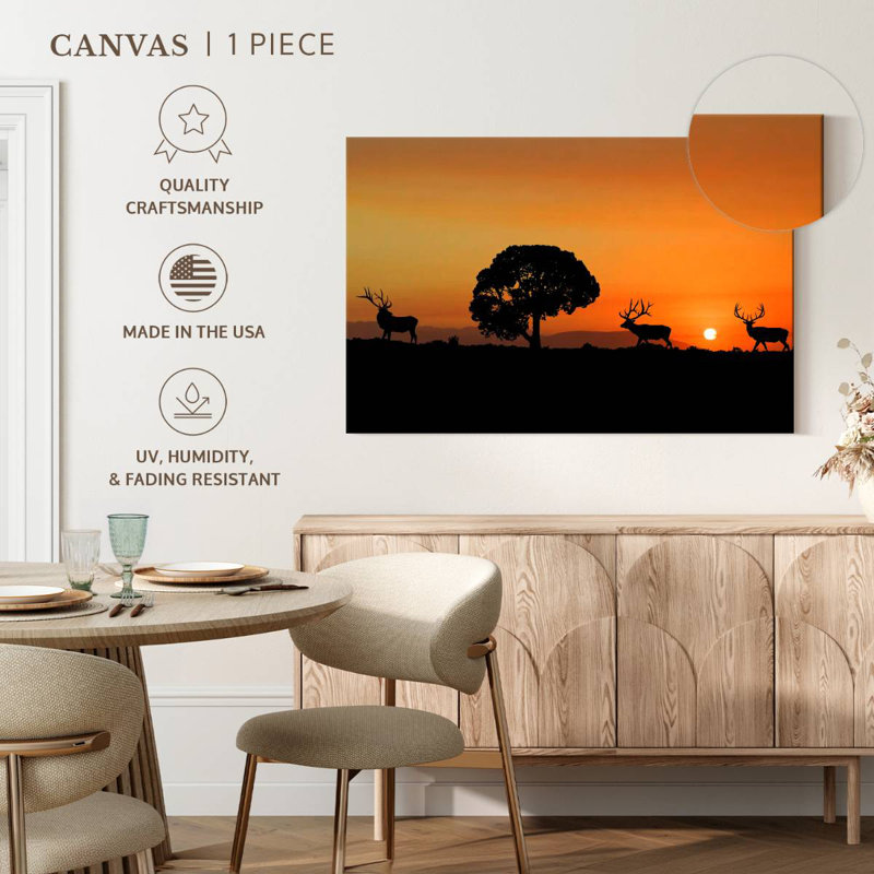 Coucher de soleil wapiti Brampt