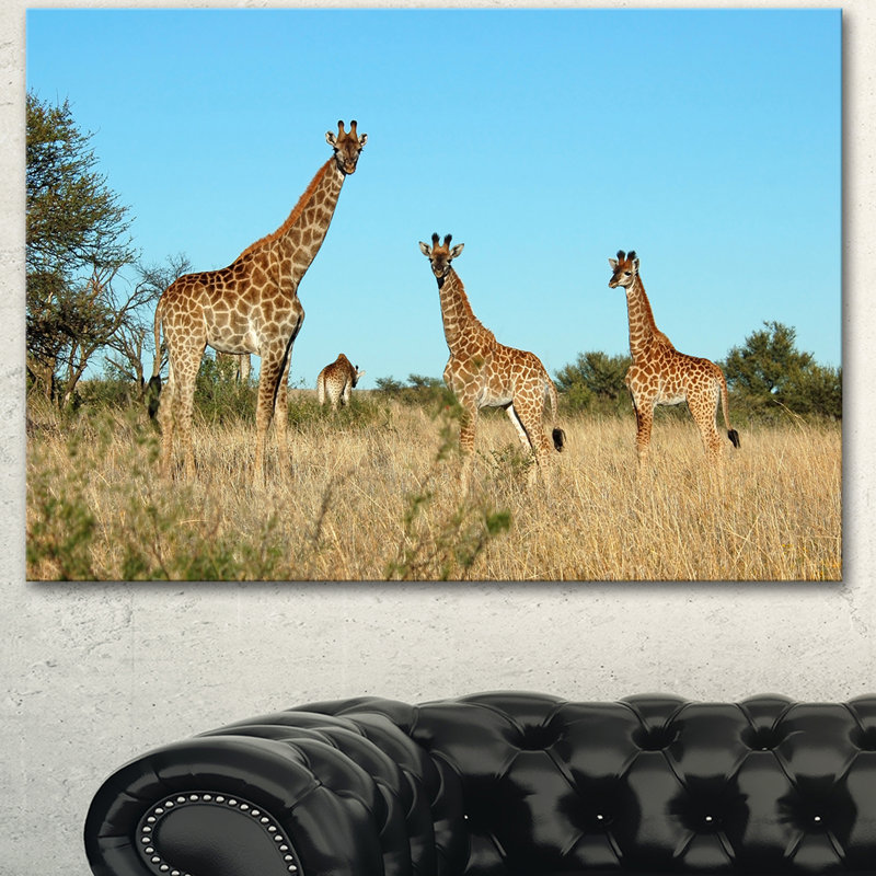 Girafe en Afrique - reproduction de photo sur toile tendue, H 8 po x l 12 po x P 1 po