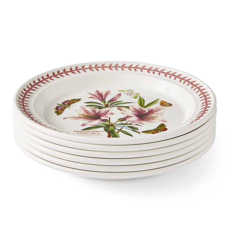 10" Dinner Plates, Set of 6