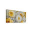 "Sunshine Roses Gray" par Lisa Audit, reproduction d'art sur toile tendue-33410383