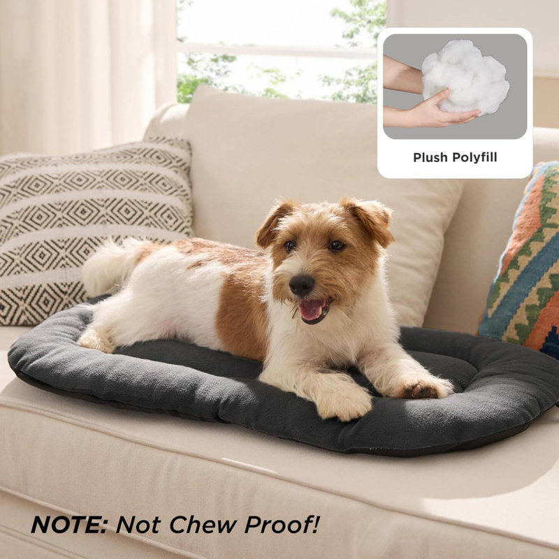 Pet Bed