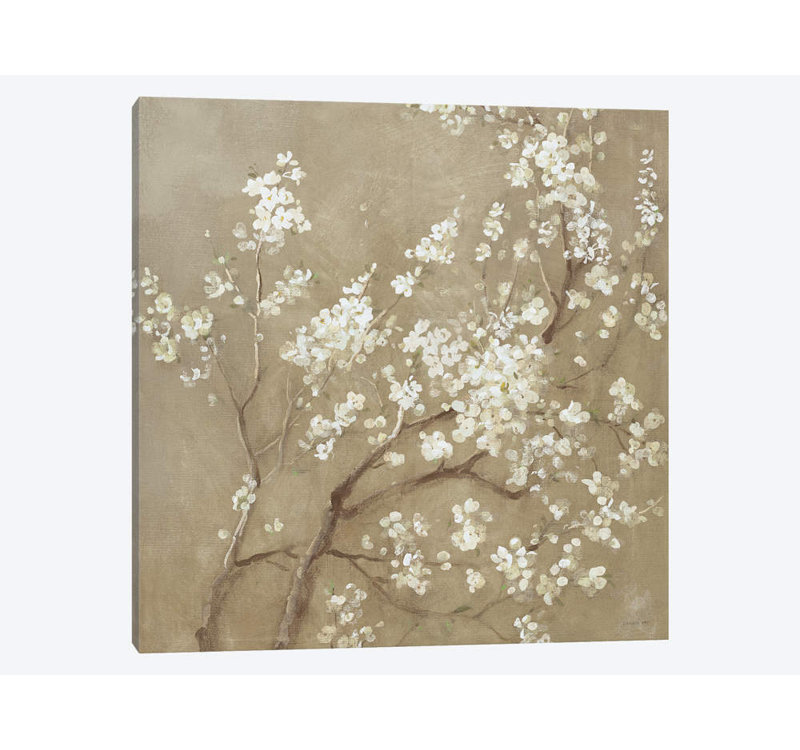White Cherry Blossoms I by Danhui Nai - Print on Canvas, Wrapped Canvas, 93.98 cm H x 93.98 cm W x 1.91 cm D
