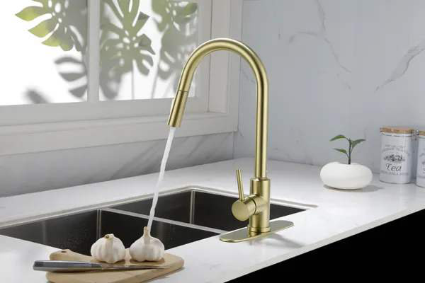 Kitchen Faucet with Pull Down Sprayer