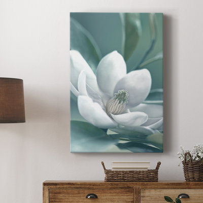 Magnolia - Cavas enveloppés de galerie