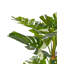 135cm Faux Monstera Deliciosa Tree in Planter