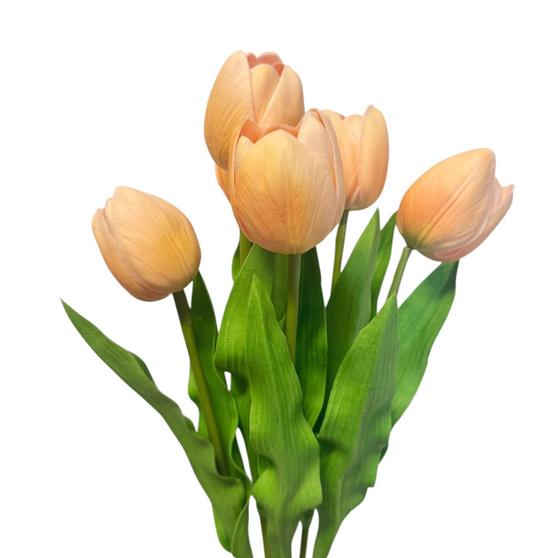 Tiges de tulipes, Champagne