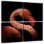 Flamant rose-1059100789