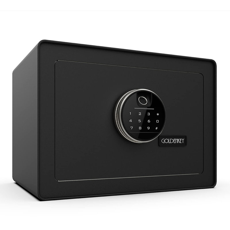 Security Safe Lock, Black/Gray