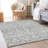 Premium Machine Washable Prisco Gray Rug-942020458