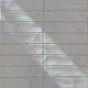 Silver Light Gray