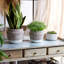 Pot à fleurs Boho-789770758