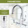 WOWOW Kitchen Faucet with Soap Dispenser