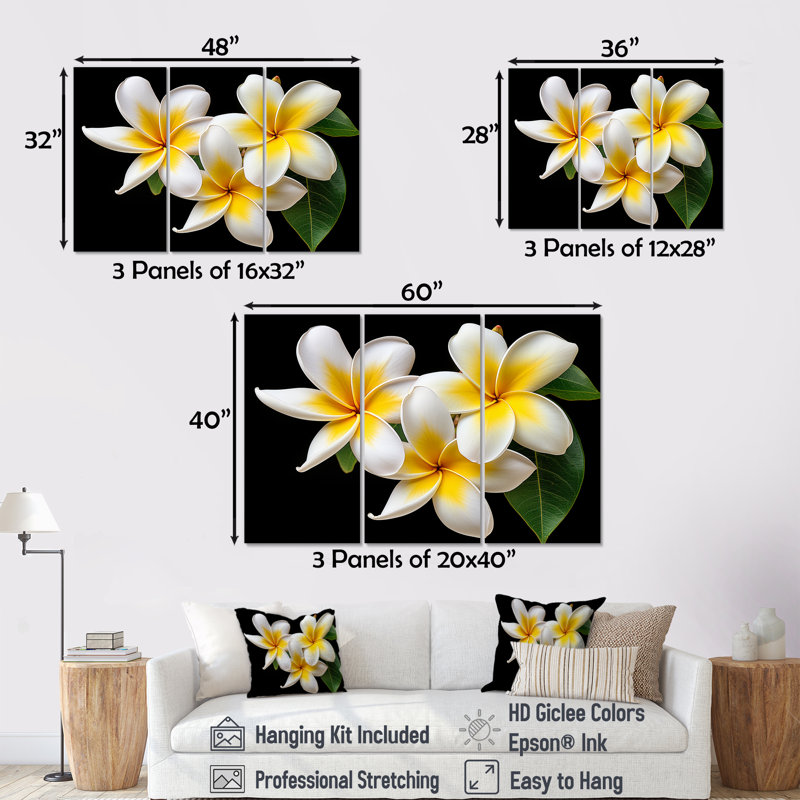 Rêve de rêve Plumerias pureté - ensemble d'art sur toile Plumeria, Toile tendue, H 28 po x l 36 po x P 1 po