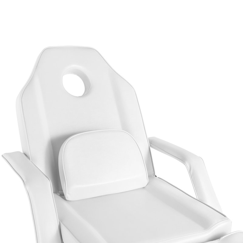Gotthart Multipurpose Facial Chair, Massage Bed