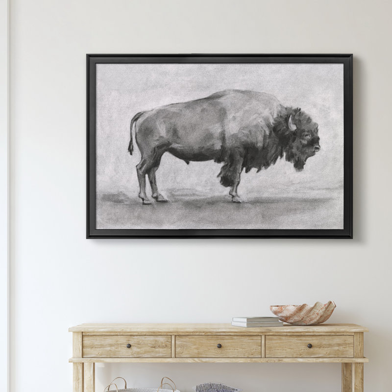 «Wild Bison Study I», impression sur toile encadrée, Noir, H 18,5 po x l 24,5 po x P 1,5 po