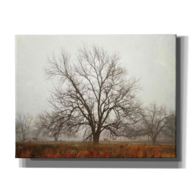 «Morning Calm I» par Debra Van Swearingen, art mural sur toile, H 26 po x l 34 po x P 1,5 po
