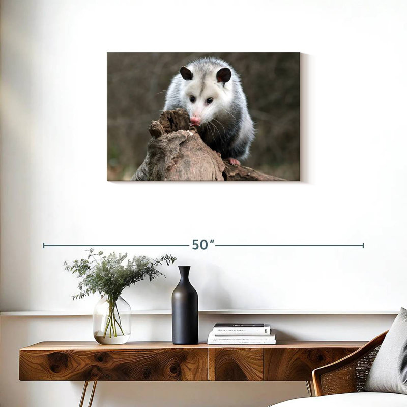 Brampt Opossum, 20" H x 30" W