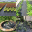 Tapis de sol Weed Barrier Landscape-61894619