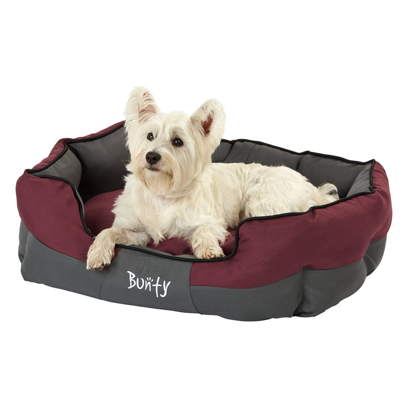 Levesque Polyester Pet Bed, 25cm H x 75cm W x 60cm D, Red
