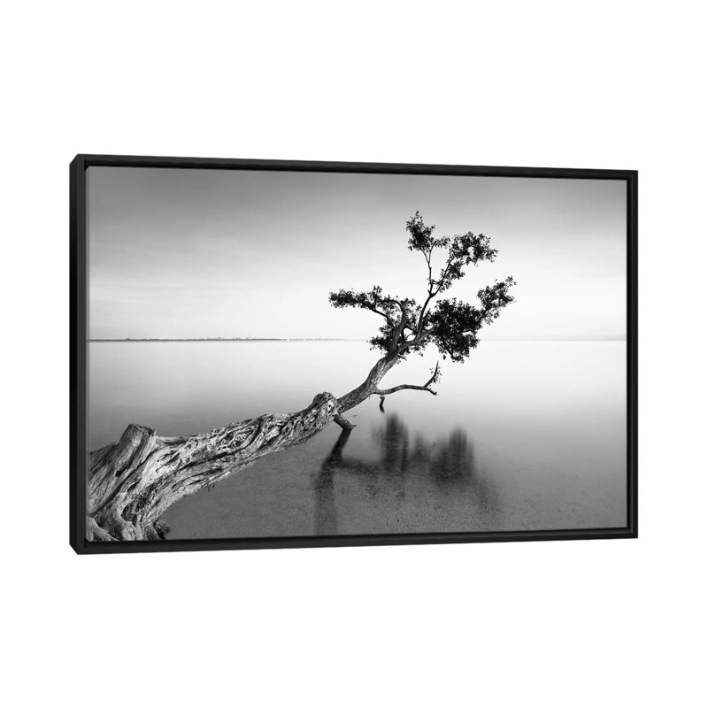 « water tree ix », reproduction de photo sur toile tendue, H 18 po x l 26 po x P 1,5 po, Toile avec cadre noir, Pas de tapis