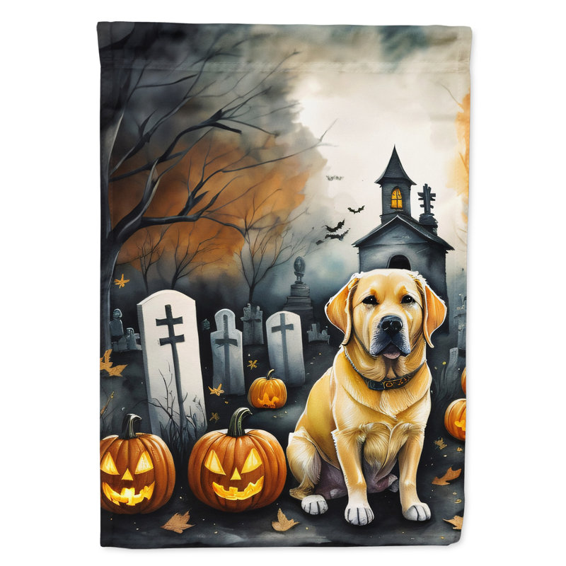 Drapeau de maison d'Halloween en polyester à double face H 40 po x l 28 po