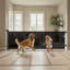 Barrière rétractable pour bébé-803951307
