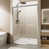 Brushed Nickel selected