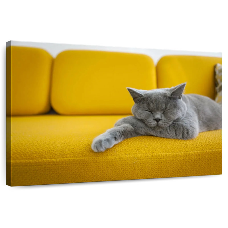 Brampt Cat On Sofa, 16" H x 24" W