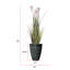 58 po plante de roseau en pot