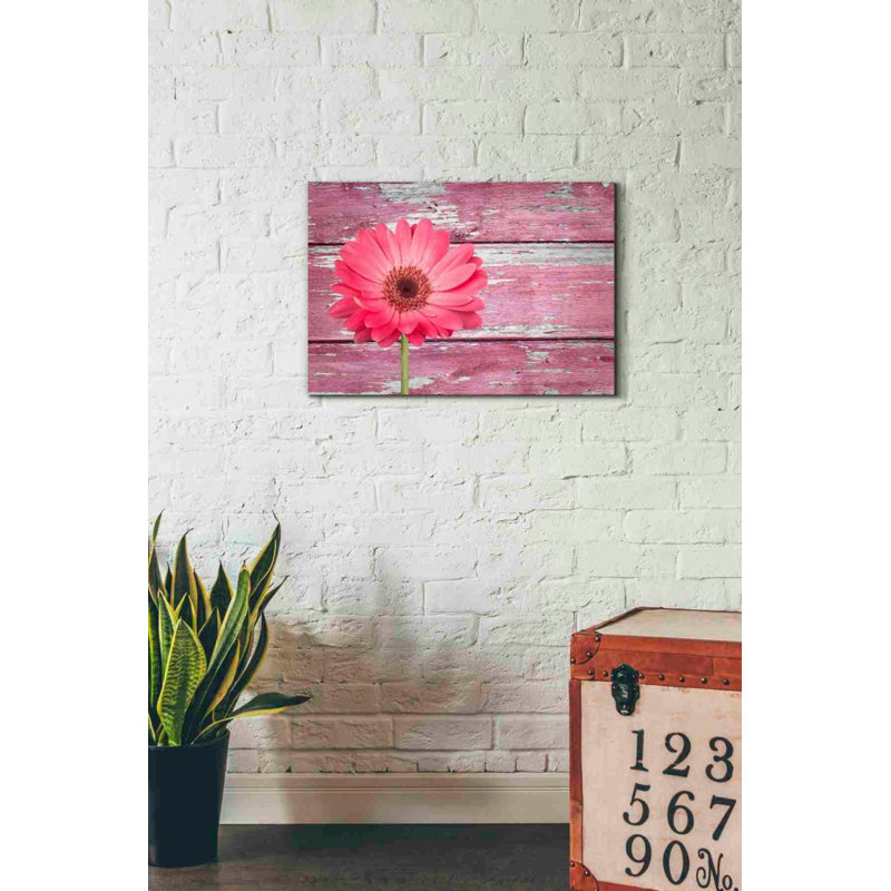 «Beginnings», impression sur toile tendue, H 18 po x l 26 po x P 0,75 po