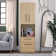 Holly Hills 2-Drawer Cabinet with Open and Closed Storage