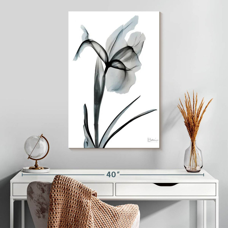 Harnek Ombre Sea Salt Iris I, 30" H x 20" W