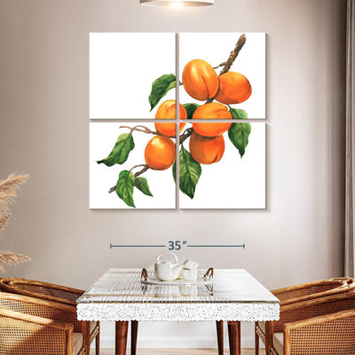 Abricots mûres Yarlin