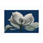 Navy Magnolia I by Albert Koetsier - Gallery-Wrapped Canvas Giclée on Canvas-426075905-461433187