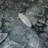 Dieudson Distressed blue brass metallic faux rocks stone plaster wallpaper