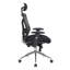 Symple Stuff Mesh Executive Chair with Headrest-45367436