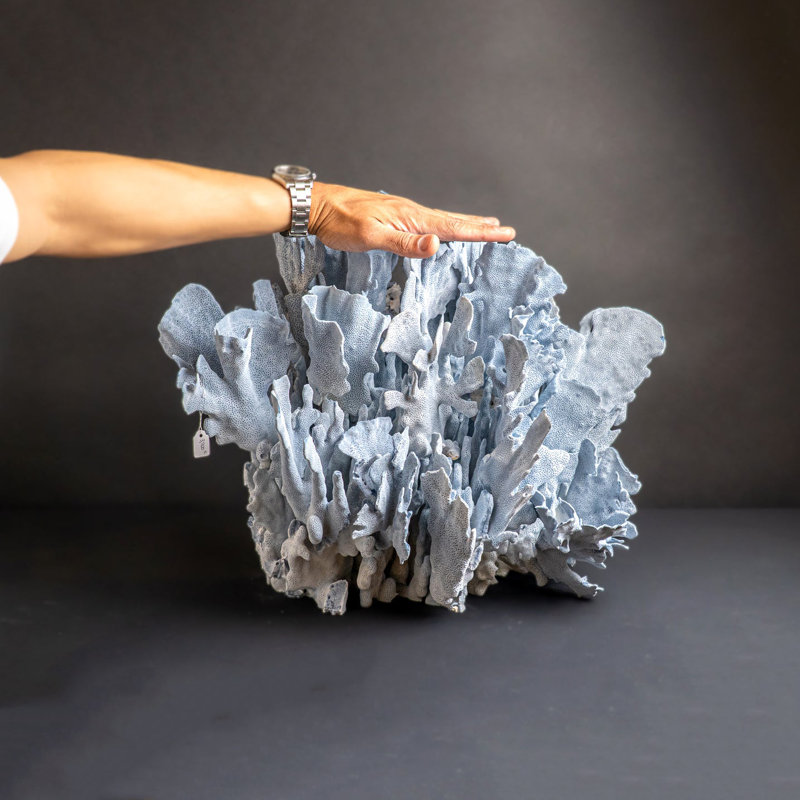 Genuine Blue Ridge Coral (18", 25 Lbs)