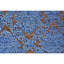 Wool Moroccan Area Rug in Blue-70393068