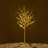 Lighted Trees & Branches-673331785