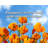 Artsy Quote "A puppet is free as long as he loves his strings." By Sam Harris Gallery Wrapped Canvas-431420855