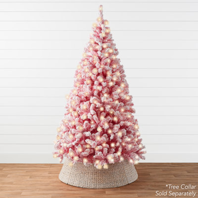 Lighted Christmas Tree