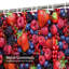 Rideau de douche Berries-604335919