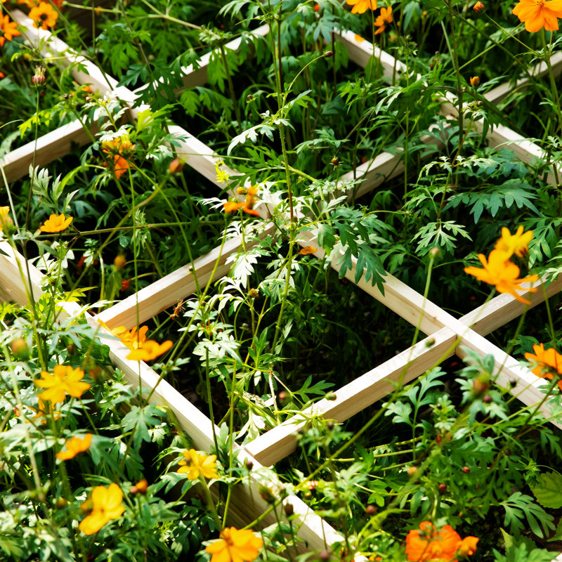 Ensemble de lit de jardin surélevé Outsunny
