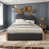 Gris sélectionné