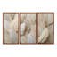 Plumes de plumes - ensemble d'art mural plumes-111755810-111755816