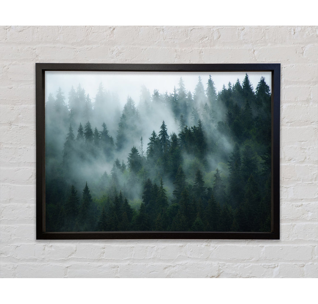 Mist In The Dense Woods - Einzelne Bilderrahmen Kunstdrucke auf Leinwand