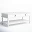 Springer Coffee Table