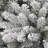 Frosted Pre-Lit Fir Christmas Tree-1538253316