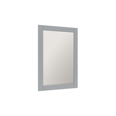 Bernharda l 22 po x H 32 po Miroir de salle de bain rectangulaire à montage en surface moderne et contemporain gris Empire